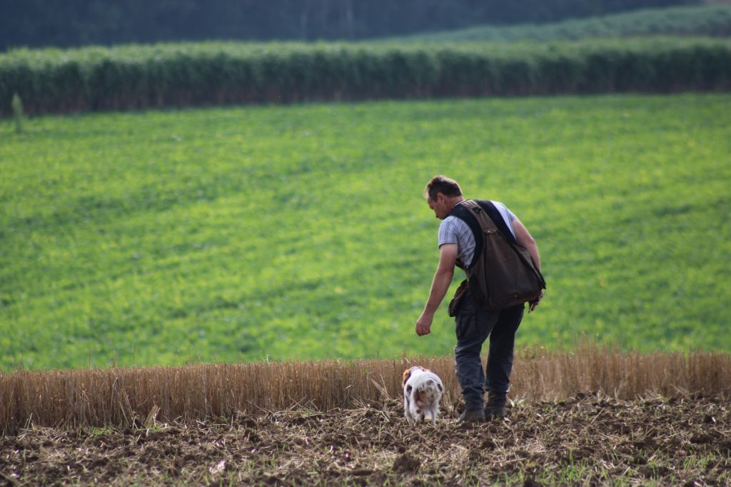 Pepssy De La Vallée De La Py - A LE TAN