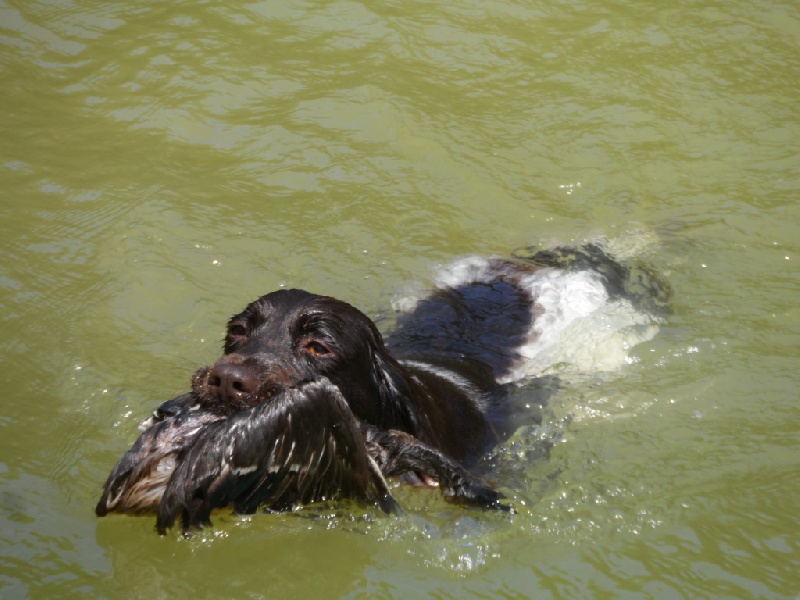 Gessy De La Vallée De La Py - BCE 12 SUR 12