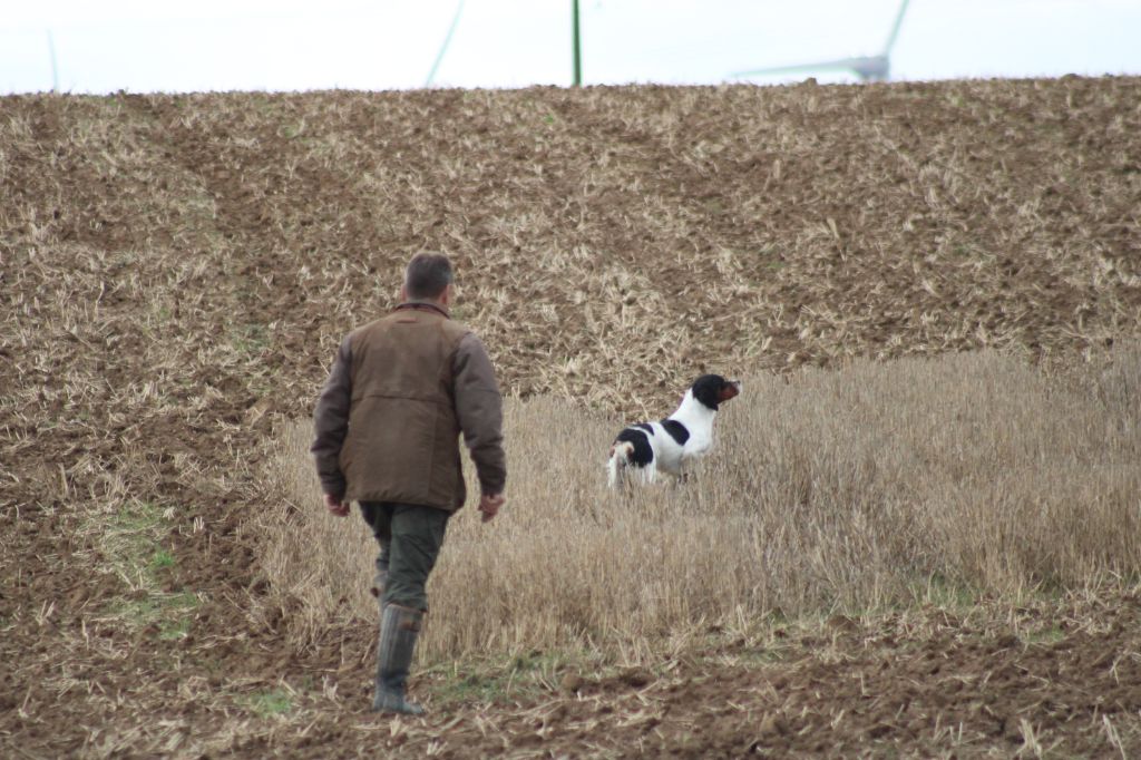 Vidoc De La Vallée De La Py - A LE TAN