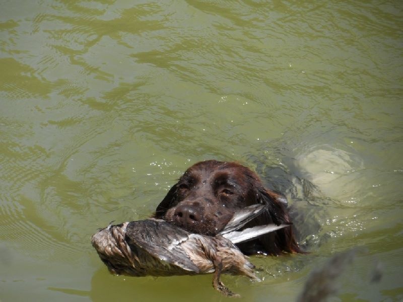 Gessy De La Vallée De La Py - 1 CAT 32 SUR 32