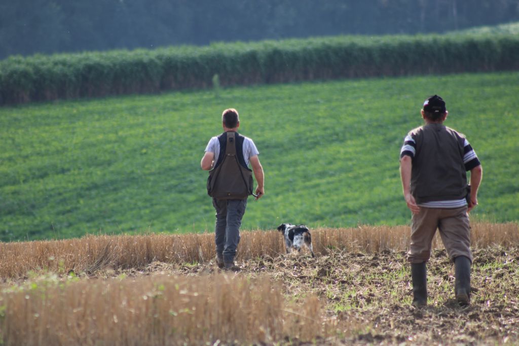 Pepite De La Vallée De La Py - TAN +SELECTIONNE POUR LE DERBY DES JEUNES