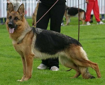 Sandra de Marne la Vallee - Nationale