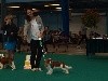 - Nationale d'élevage 2017 NEVERS