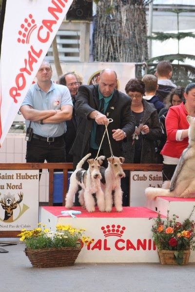 Wild card dit jason Of fair play - 2ème Meilleur Couple de l'exposition