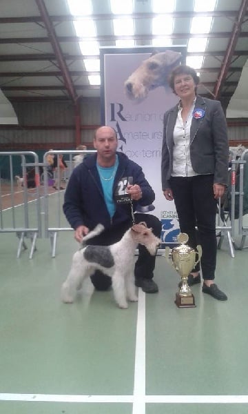 Wild card dit jason Of fair play - Meilleur Mâle