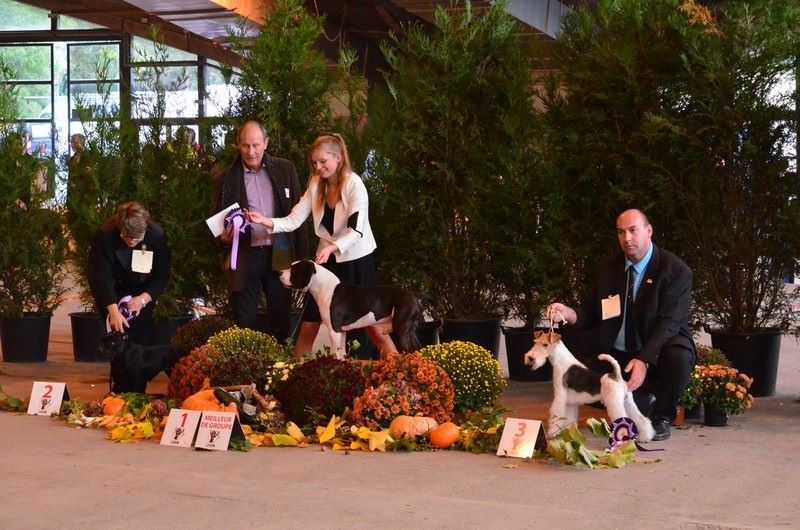 Wild card dit jason Of fair play - 1er Exc classe Jeune + BOB + 3ème BOG