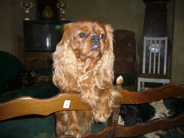 Publication : des marais de Bremes