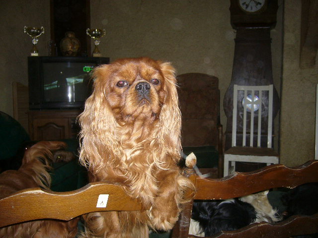 Publication : des marais de Bremes