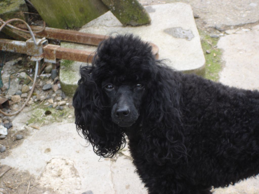 Sunshine du clos chanturgue