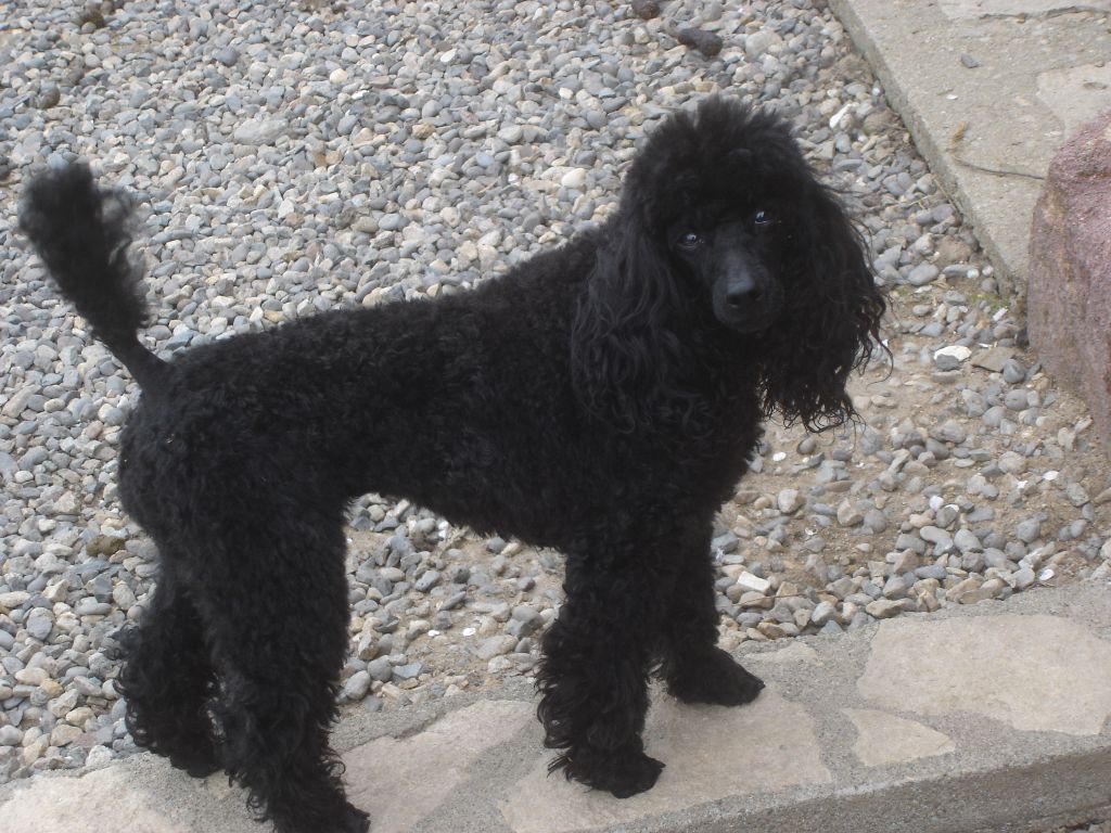 Sunshine du clos chanturgue