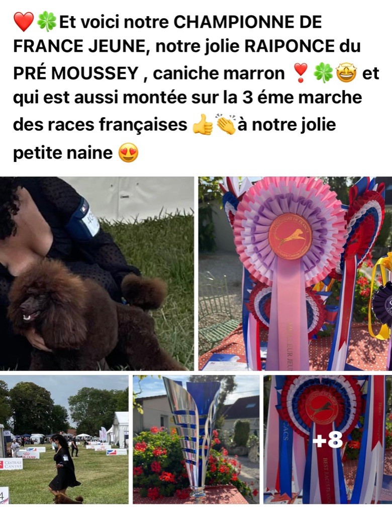 Raiponce Du pré moussey
