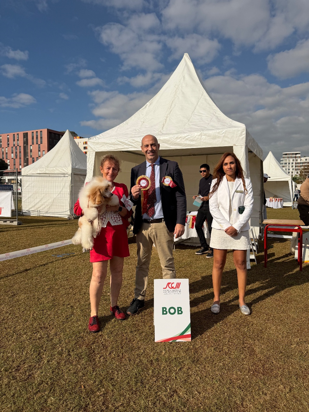 CH. Eqlipse boy brilliant of blaked