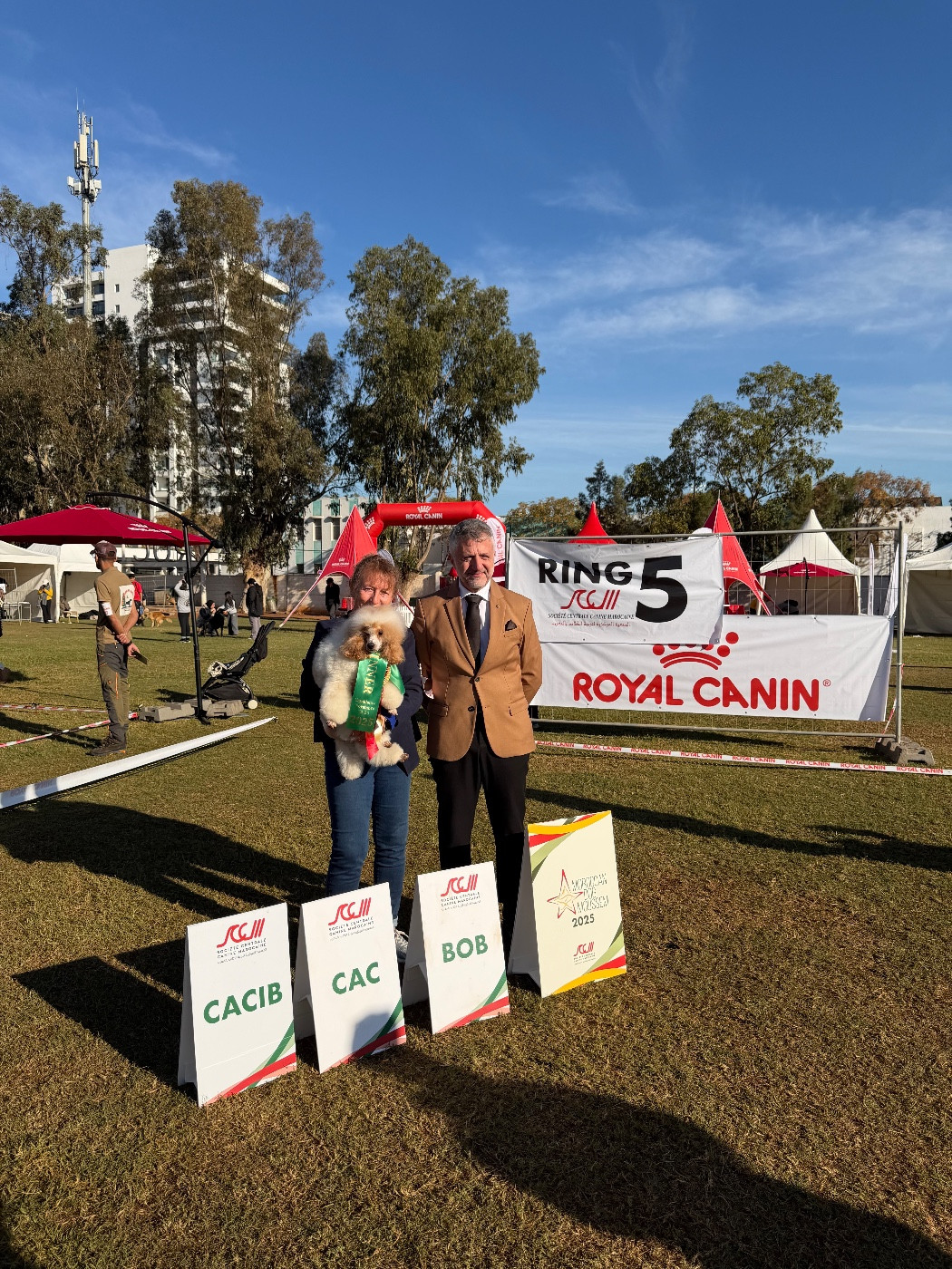 CH. Eqlipse boy brilliant of blaked