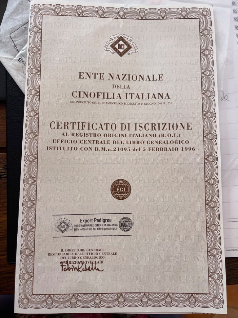 Veni vidi vici simply precious