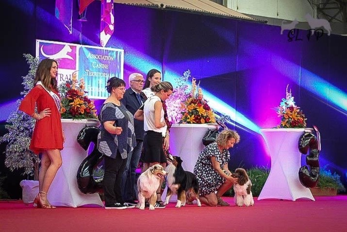 Publication : Du pré moussey Auteur : Jocelyne Poupon