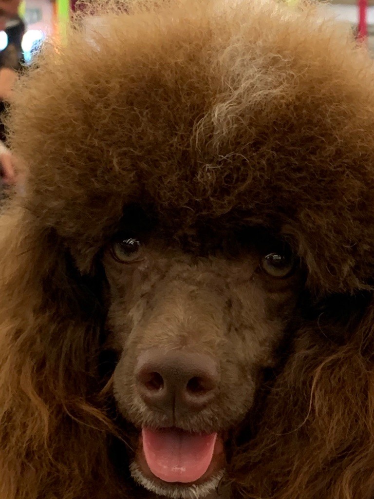 Publication : Du pré moussey Auteur : Jocelyne Poupon