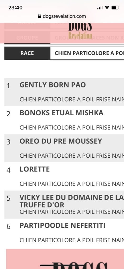 bonoks etual Mishka dit pavlov