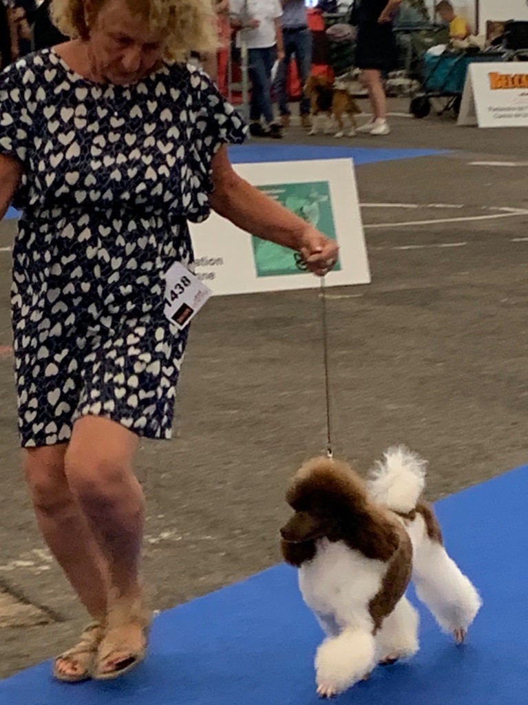 Publication : Du pré moussey Auteur : Jocelyne Poupon