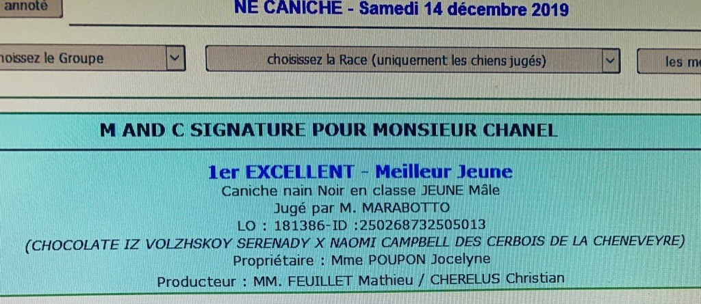 CH. M And C Signature Pour monsieur chanel