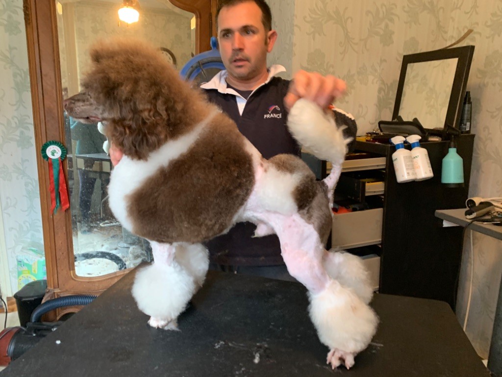 Publication : Du pré moussey Auteur : Jocelyne Poupon