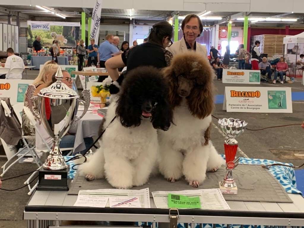 Publication : Du pré moussey Auteur : Jocelyne Poupon