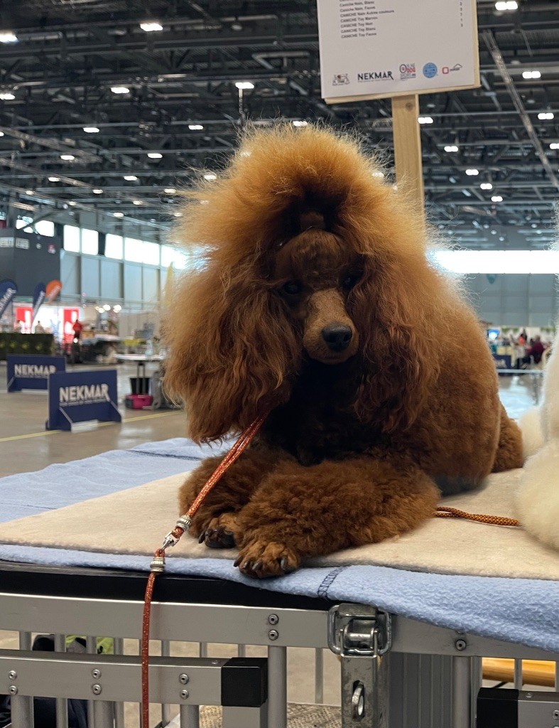 Vahiné Du pré moussey