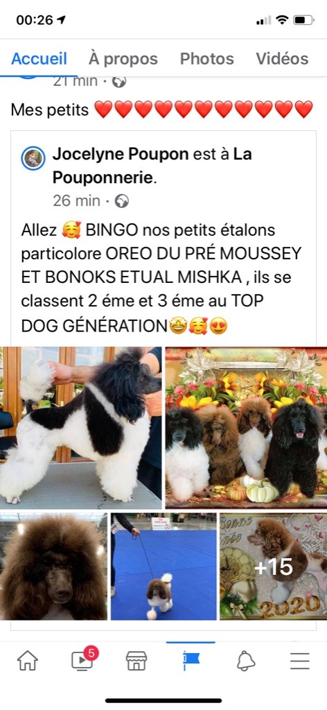 bonoks etual Mishka dit pavlov
