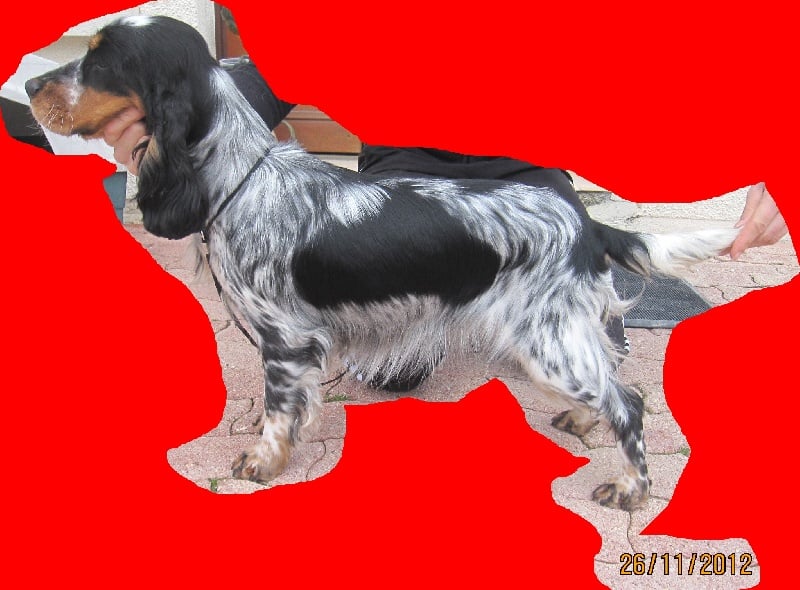 Publication : Du pré moussey Auteur : jocelyne poupon