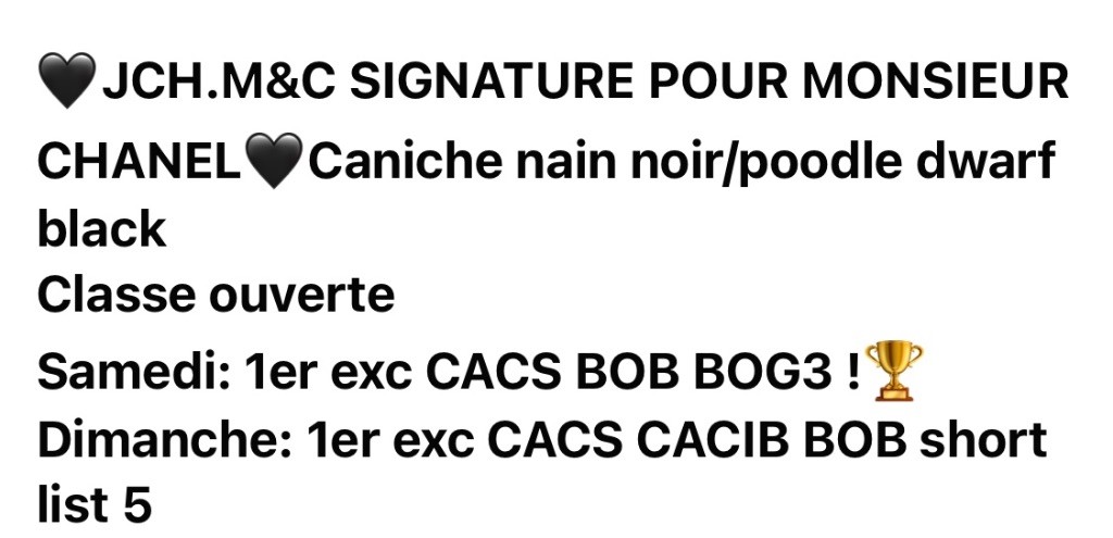 CH. M And C Signature Pour monsieur chanel
