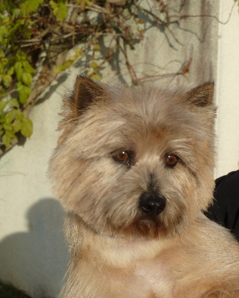 Publication : Du pré moussey