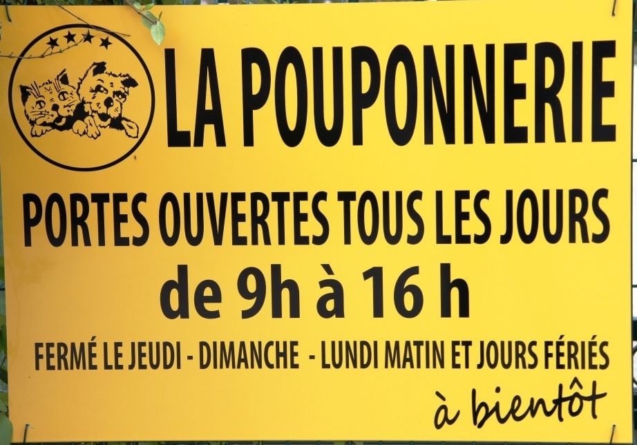La Pouponnerie, Elevage Du Pre Moussey - Chiot disponible  - Coton de Tulear