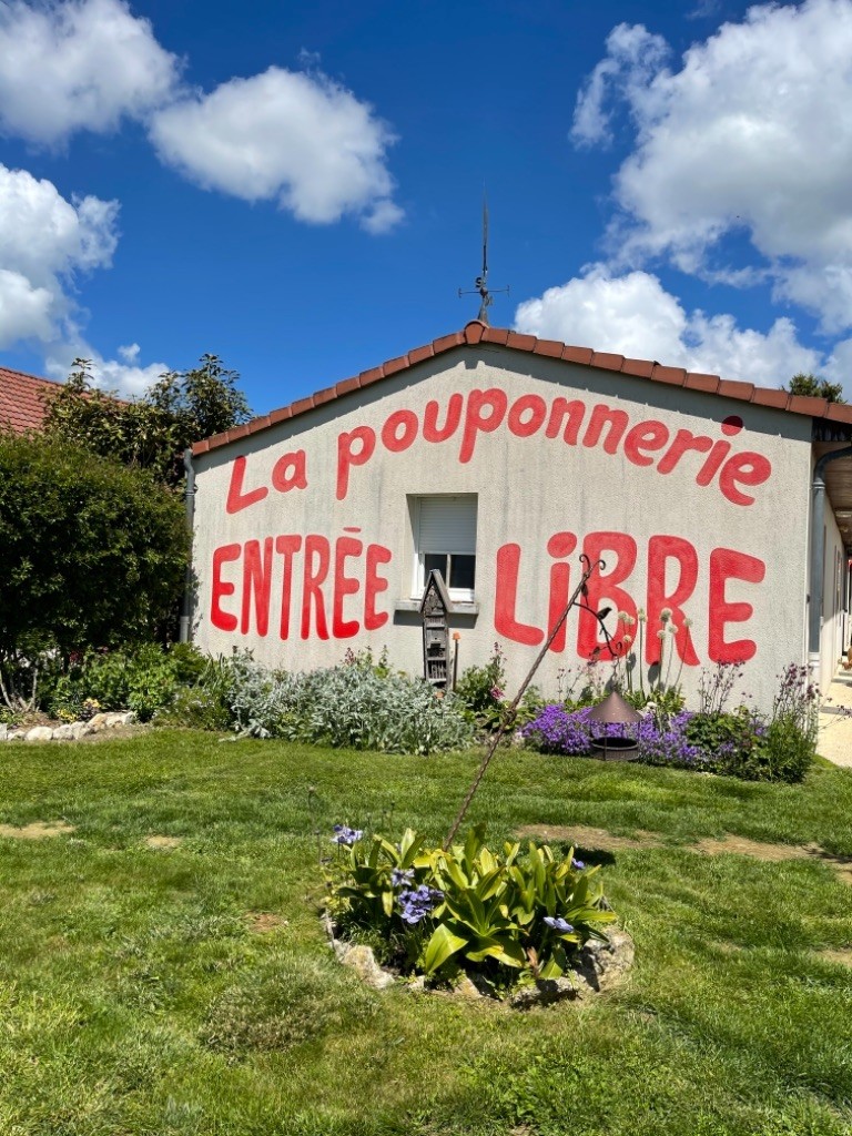 La Pouponnerie, Elevage Du Pre Moussey - Chiot disponible  - Coton de Tulear