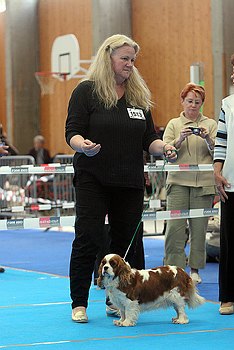 Publication : De castel peyrac Auteur : Dany Prunier