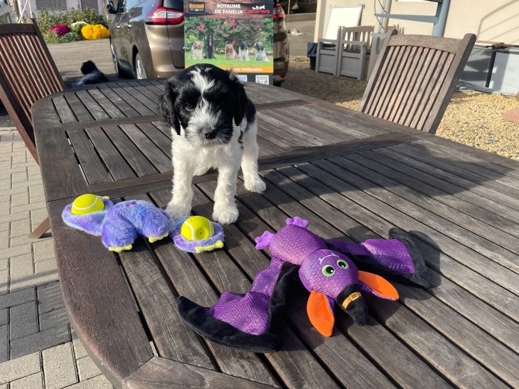 Anooki Duncan - Collier Vert