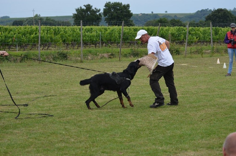 Publication : Du Vieux Tchiniss Auteur : François Nicaise