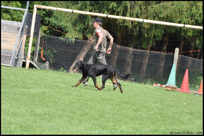 Publication : Du Vieux Tchiniss Auteur : François Nicaise