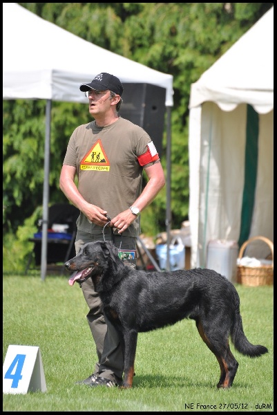 Publication : Du Vieux Tchiniss Auteur : François Nicaise