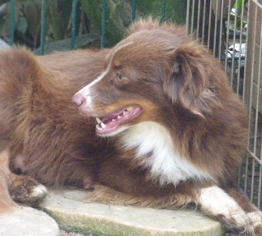 Union for peace red wendy Des Amis De Zoé