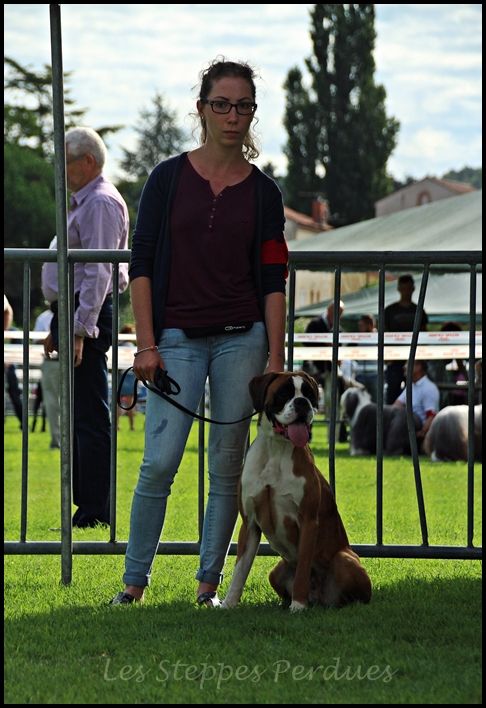 Mikasuki Des Steppes Perdues - Spéciale Boxer - 3ème EXCELLENT