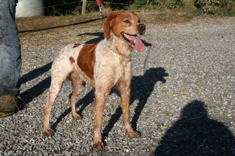 Publication : Des Minis Du Terrail