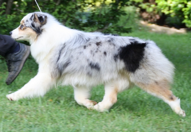 Publication : Of Fender Song