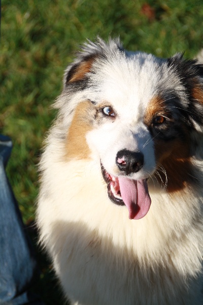 Publication : Of Fender Song Auteur : Eric Planchon