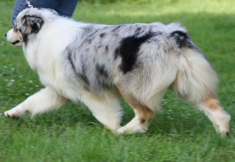 Publication : Of Fender Song