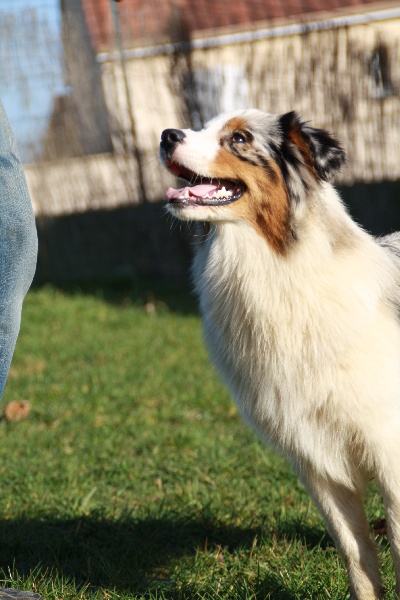 Publication : Of Fender Song Auteur : Eric Planchon