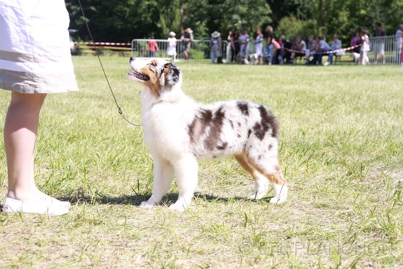 Greensleeves fender song du Chemin de la Lune aux Reves - 1er Très Prometteur