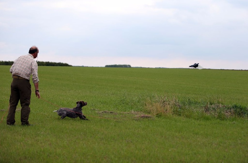 Publication : Santorin Auteur : JF