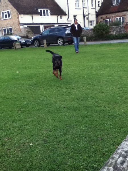 Publication : Santorin Auteur : N Denyer