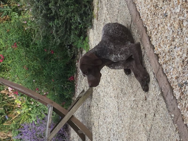 Publication : Santorin Auteur : JF