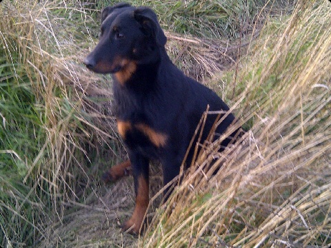 Publication : Santorin Auteur : N D