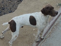 Publication : Santorin Auteur : JF